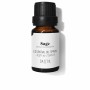Essential oil Daffoil Sage 10 ml by Daffoil, Essential oils - Ref: S05117304, Price: 12,13 €, Discount: %
