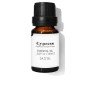 Olio Essenziale Daffoil Cypress 10 ml di Daffoil, Oli essenziali - Rif: S0583212, Prezzo: 12,13 €, Sconto: %