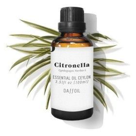 Olio Essenziale Citronella Daffoil DAFFOIL 100 ml di Daffoil, Oli essenziali - Rif: S0583223, Prezzo: 17,75 €, Sconto: %