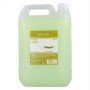 Shampoo Risfort 69881 von Risfort, Shampoos - Ref: S4247720, Preis: 10,10 €, Rabatt: %