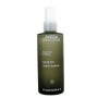 Tonico Viso Aveda Botanical Kinetics 150 ml di Aveda, Tonici e astringenti per il viso - Rif: M0101703, Prezzo: 27,33 €, Scon...