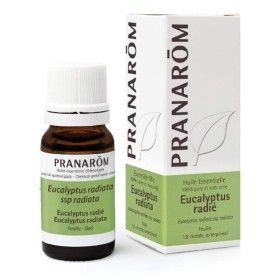 Ätherisches Öl Pranarôm Eukalyptusbaum 10 ml von Pranarôm, Ätherische Öle - Ref: S05115468, Preis: 7,66 €, Rabatt: %