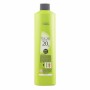 Décolorant Inoa Technologie L'Oreal Professionnel Paris 0000004721 (1000 ml) 1 L de L'Oreal Professionnel Paris, Produits écl...
