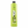 Hair Oxidizer Inoa Technologie L'Oreal Professionnel Paris 0000004721 (1000 ml) 1 L by L'Oreal Professionnel Paris, Colour Re...