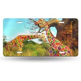 Spray déodorant Mexx Black Woman 75 ml de Mexx, Déodorants et anti-transpirants - Réf : S8321387, Prix : 6,66 €, Remise : %