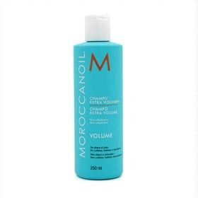 Shampoo Volume Moroccanoil Extra Volume 250 ml by Moroccanoil, Shampoos - Ref: S4506192, Price: 23,92 €, Discount: %