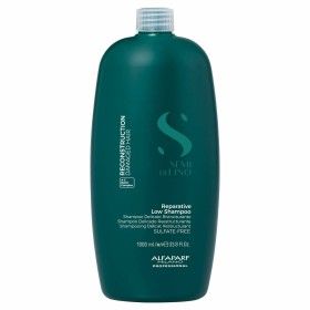 Shampooing Alfaparf Milano SEMI DI LINO 1 L de Alfaparf Milano, Shampooings - Réf : S05127321, Prix : 41,47 €, Remise : %