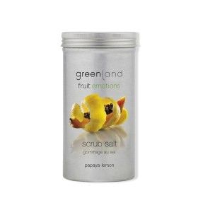 Exfoliant corps Greenland Citron Papaye 400 g de Greenland, Gommages pour la peau - Réf : S4517337, Prix : 18,08 €, Remise : %