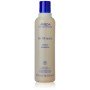 Anti-Frizz Shampoo Aveda Brilliant 250 ml by Aveda, Shampoos - Ref: S4516357, Price: 29,07 €, Discount: %