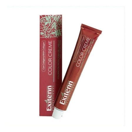 Dauerfärbung Color Creme Exitenn Nº 666 Red Ruby (60 ml) von Exitenn, Farben - Ref: S4244944, Preis: 6,90 €, Rabatt: %