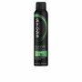 Restorative Shampoo Syoss ANTI GRASA 200 ml by Syoss, Shampoos - Ref: S05127866, Price: 5,76 €, Discount: %