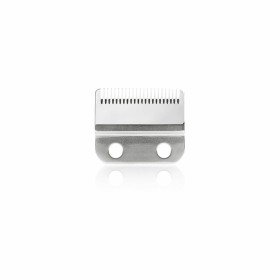 Replacement Head Sthauer Xanitalia 50 Steel (50 uds) by Sthauer, Electric shaver for men - Ref: S4258152, Price: 16,09 €, Dis...