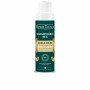 Shampooing sec Beauterra Soin 50 g de Beauterra, Shampooings - Réf : S05126959, Prix : 7,46 €, Remise : %