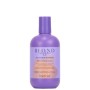 Shampoo für Coloriertes Haar Inebrya BLONDesse 300 ml von Inebrya, Shampoos - Ref: S8302851, Preis: €8.54, Rabatt: %