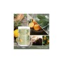 Vela Perfumada Yankee Candle Sage & Citrus 567 g de Yankee Candle, Velas - Ref: S8321768, Precio: €27.45, Descuento: %