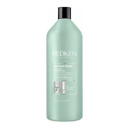 Shampoo Redken Amino Mint 1 L by Redken, Shampoos - Ref: S0595098, Price: €36.46, Discount: %