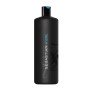 Moisturizing Shampoo Sebastian by Sebastian, Shampoos - Ref: M0113398, Price: 40,17 €, Discount: %