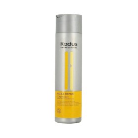 Balsamo Riparatore Kadus Professional Repair 250 ml di Kadus, Balsami - Rif: M0124008, Prezzo: €15.90, Sconto: %