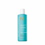 Anti-Frizz Shampoo Moroccanoil Frizz Control 250 ml von Moroccanoil, Shampoos - Ref: S8320225, Preis: €23.15, Rabatt: %