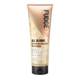 Champú Fudge Professional All Blonde Colour Boost 250 ml de Fudge Professional, Champús - Ref: M0117918, Precio: 15,01 €, Des...