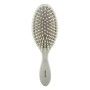 Brosse Beter de Beter, Brosses - Réf : S0571976, Prix : 8,13 €, Remise : %