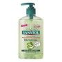 Sapone Liquido Mani con Dosatore Antibacterias Sanytol 280100 (250 ml) 250 ml di Sanytol, Pulizia-personale - Rif: S0574534, ...