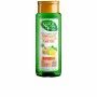 Shampoo Purificante Naturvital Eco Limone Zenzero (300 ml) di Naturvital, Shampoo - Rif: S0594522, Prezzo: 7,34 €, Sconto: %