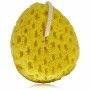 Body Sponge QVS 10-2030 (14 cm) by QVS, Sponges - Ref: S4506692, Price: 4,47 €, Discount: %