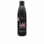Shampooing Postquam TECHNICAL 250 ml de Postquam, Shampooings - Réf : S05127260, Prix : 10,28 €, Remise : %