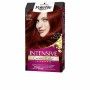 Tintura Permanente Schwarzkopf Palette Intensive (1 Unità) di Schwarzkopf, Colore permanente - Rif: S0587418, Prezzo: 6,03 €,...