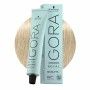 Coloration Permanente en Crème Schwarzkopf Igora Royal Highlifts Nº 12.2 (60 ml) de Schwarzkopf, Coloration permanente - Réf ...
