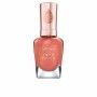 Nagellack Sally Hansen Color Therapy Nº 300 14,7 ml von Sally Hansen, Farblack - Ref: S05112511, Preis: 13,36 €, Rabatt: %
