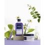 Crème stylisant Phyto Paris Violet 250 ml de Phyto Paris, Soins des cheveux et du cuir chevelu - Réf : S05113021, Prix : 10,7...