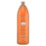 Nourishing Shampoo Argan Sublime Farmavita 250 ml 1 L by Farmavita, Shampoos - Ref: S0555157, Price: 17,28 €, Discount: %