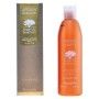 Nourishing Shampoo Argan Sublime Farmavita 250 ml 1 L by Farmavita, Shampoos - Ref: S0555157, Price: 17,28 €, Discount: %