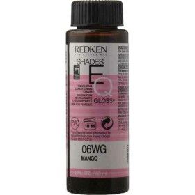 Coloração Permanente em Creme Redken Nº 06WG Mango (60 ml) de Redken, Coloração permanente - Ref: S0585804, Preço: 38,89 €, D...