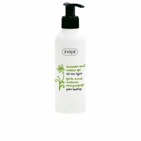 Gel Detergente Viso Ziaja Pepino Y Menta Cetriolo Menta 200 ml di Ziaja, Detergenti per il viso - Rif: S0598080, Prezzo: 5,99...