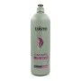 Volumising Shampoo Exitenn by Exitenn, Shampoos - Ref: S4255984, Price: 15,22 €, Discount: %