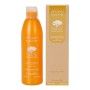 Shampoo Argan Sublime Farmavita by Farmavita, Shampoos - Ref: S4256013, Price: 17,77 €, Discount: %