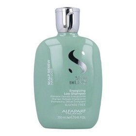 Shampoo Semi di Lino Energizing Alfaparf Milano di Alfaparf Milano, Shampoo - Rif: S4256046, Prezzo: 31,70 €, Sconto: %