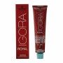 Tintura Permanente Schwarzkopf Igora Royal Nº 6-65 (60 ml) di Schwarzkopf, Colore permanente - Rif: S4257463, Prezzo: €9.76, ...