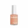 Verniz de unhas Andreia Professional Hypoallergenic Nº 128 (14 ml) de Andreia, Vernizes - Ref: S4258190, Preço: 5,52 €, Desco...