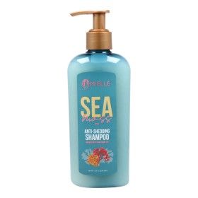 Shampoo Mielle Sea Moss (236 ml) by Mielle, Shampoos - Ref: S4260630, Price: 13,27 €, Discount: %
