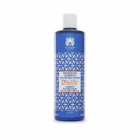 Champú Reforzador de Color Zero Valquer Vlquer Premium 400 ml de Valquer, Champús - Ref: S4508318, Precio: 15,24 €, Descuento: %